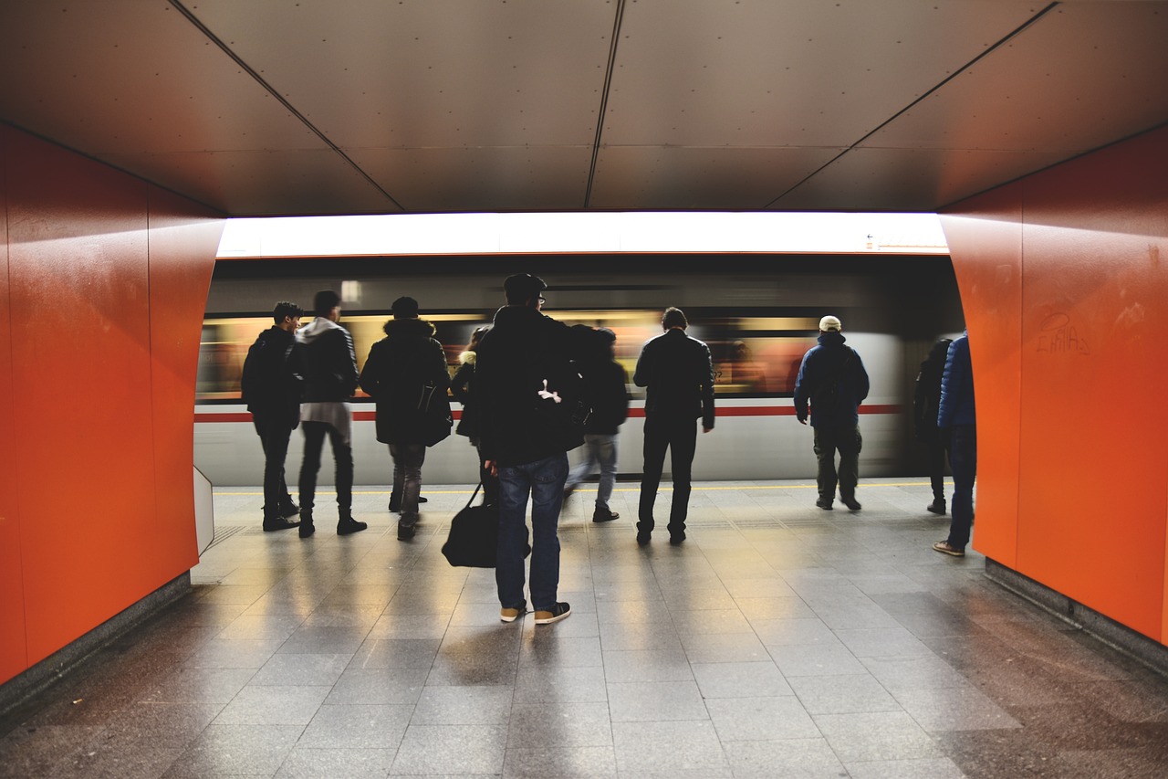 Tips for Using Public Transport with Your Pet